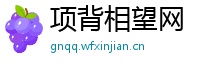 项背相望网